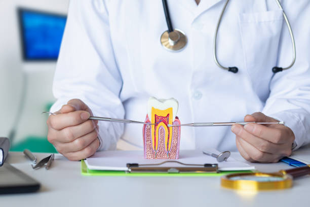 Best Affordable Emergency Dental Care  in Richwood, WV